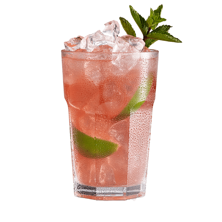 djv-berry_mojito-cocktail-glass Berry Mojito De Jongens Van